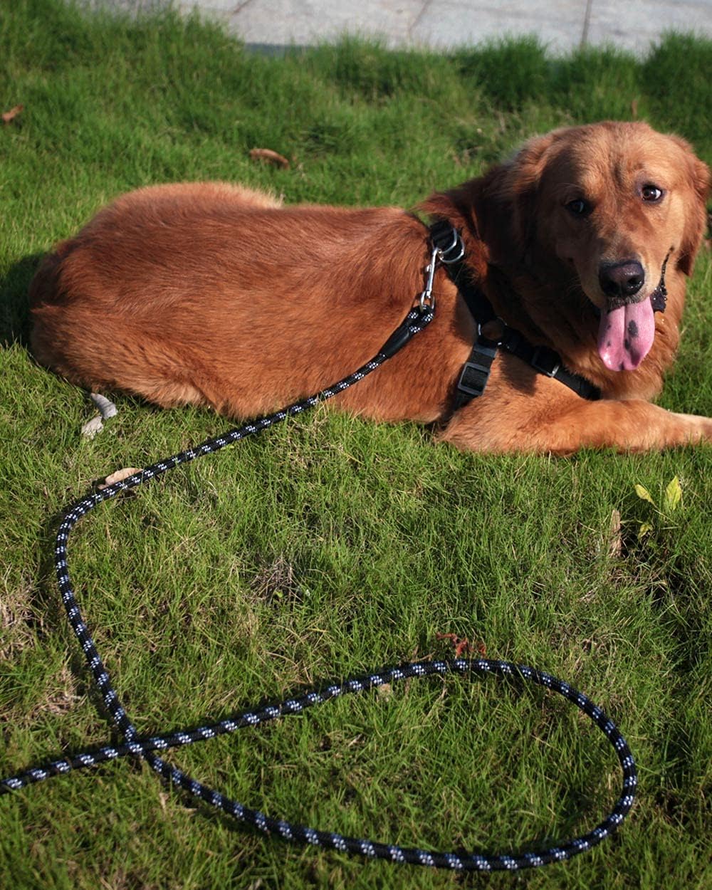 Long Rope Leash for Dog Training 10FT 16FT 30FT 50FT 100FT, Reflective Threads Check Cord Dog Leash Tie-Out Cable, Heavy Duty Dog Lead for Large Medium Small Dogs Outside Walking, Playing, Camping, or Yard