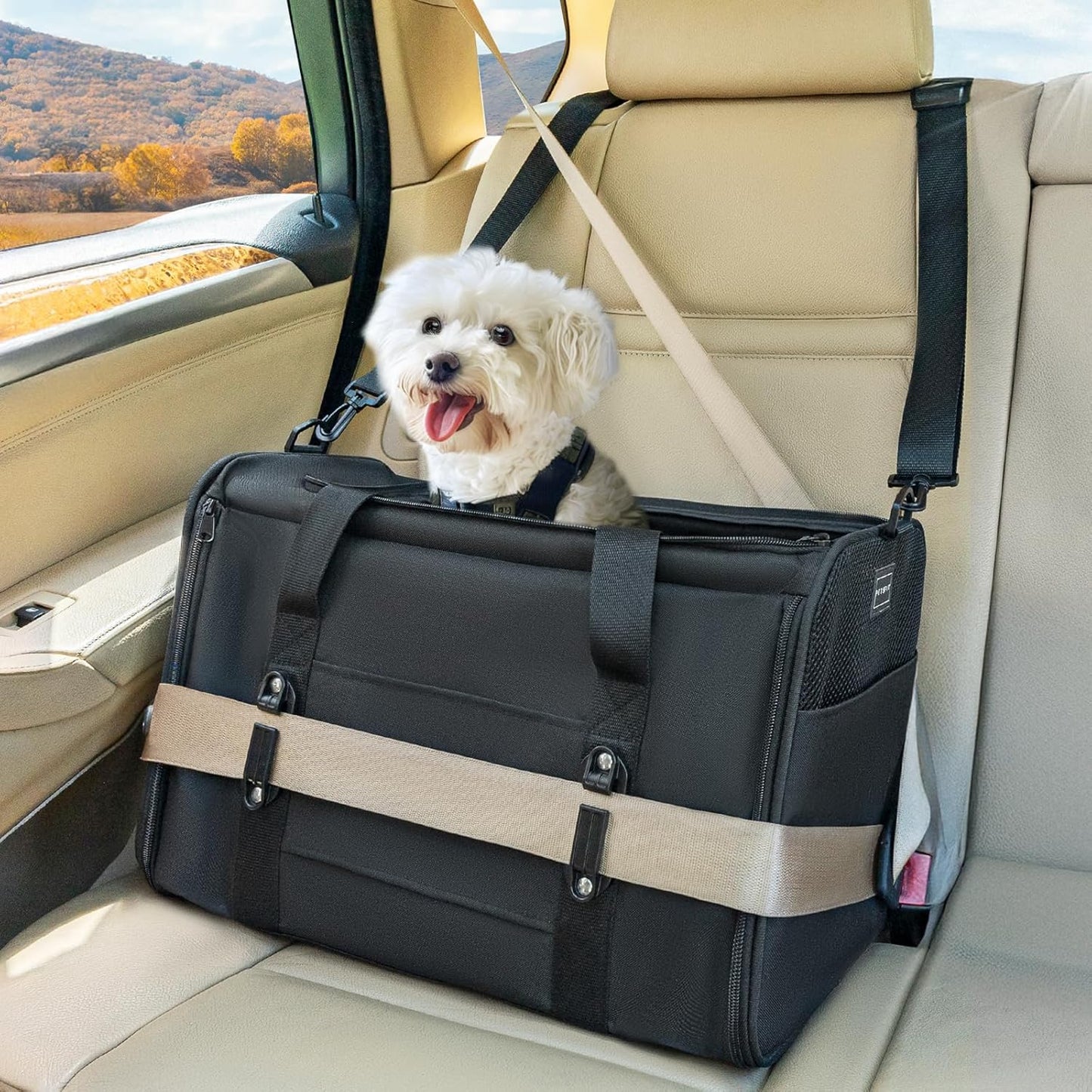 Petsfit Pet Carrier Airline Approved, Soft-Sided Cat Carrier with Patented Car Buckle, Lightweight and Collapsible with Adjustable Shoulder Strap, Soft Cushion,Green
