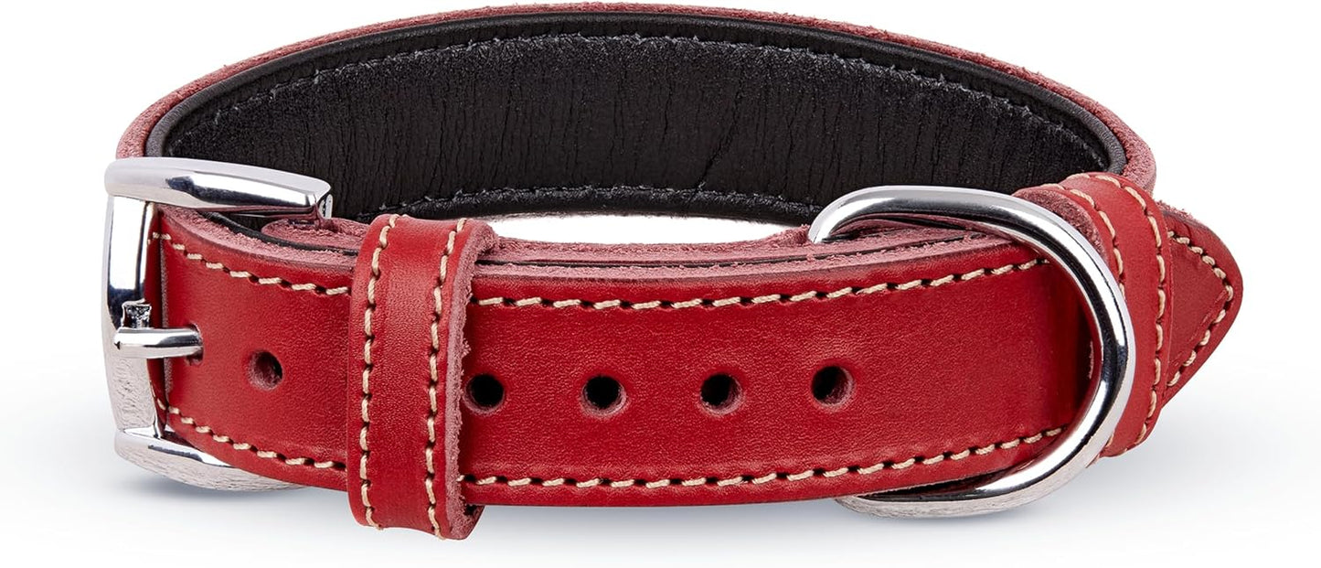 TORRUNA Soft Leather Dog Collar | Dog Collars for Small, Medium and Large Dogs | Durable Heavy Duty Dog Collars
