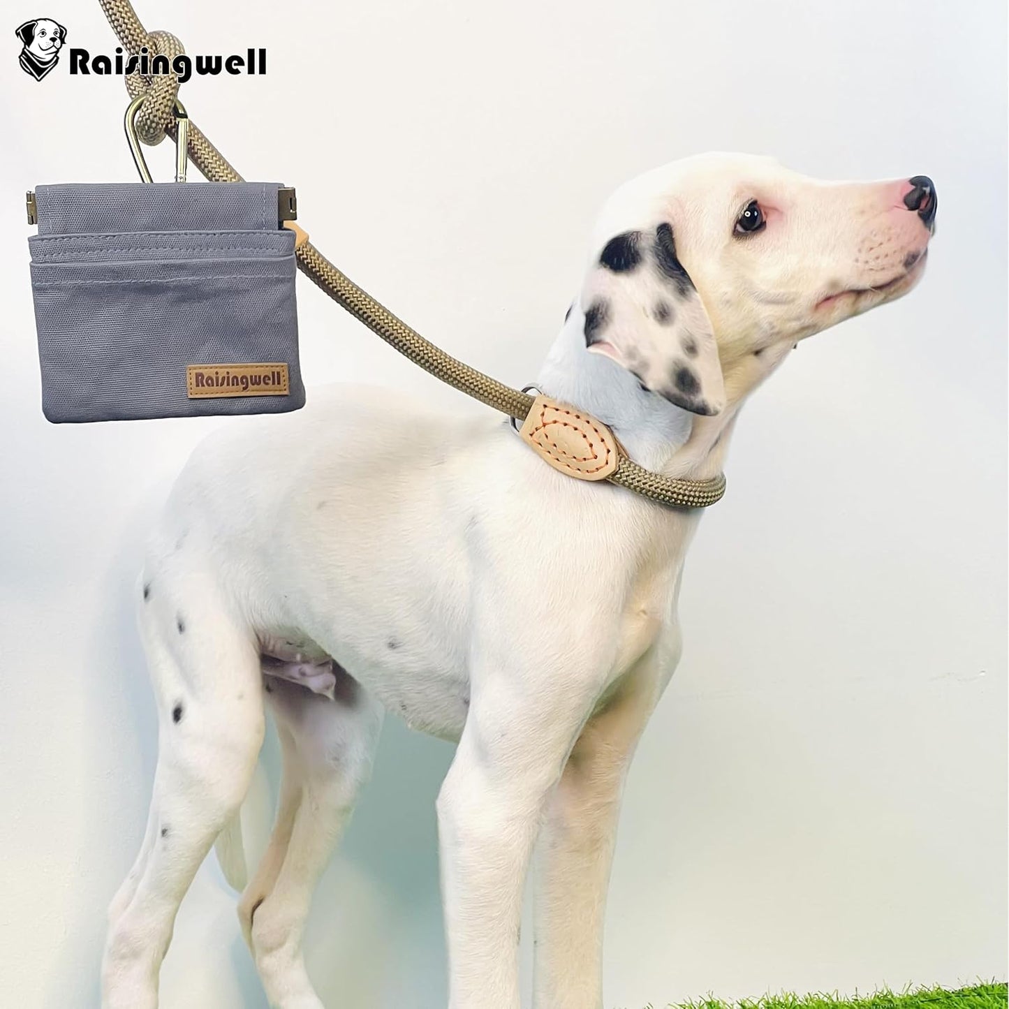 Raisingwell Dog Treat Pouch, Black Pocket Sized Pet Training Pouch, Cotton Fabric, Hand Free Dog Walking Bag with Carabiner, Self-Closing Pet Feed Snack Reward, for Pet Puppy Travel or Outdoor Use