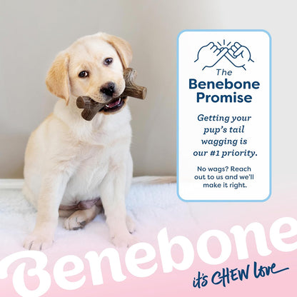 Benebone 4-Pack Durable Dog Chew Toys for Aggressive Chewers, Real Flavors, Made in USA, Medium