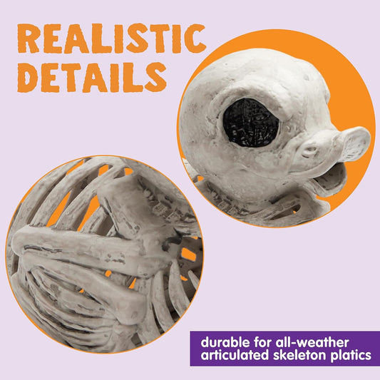JOYIN 2 PCS 4.5” Duck Skeleton Plastic Bones Halloween Decorations for Spooky Animal Courtyard Halloween Graveyard Decor, Indoor Outdoor Prop Party Trick or Treat Decor