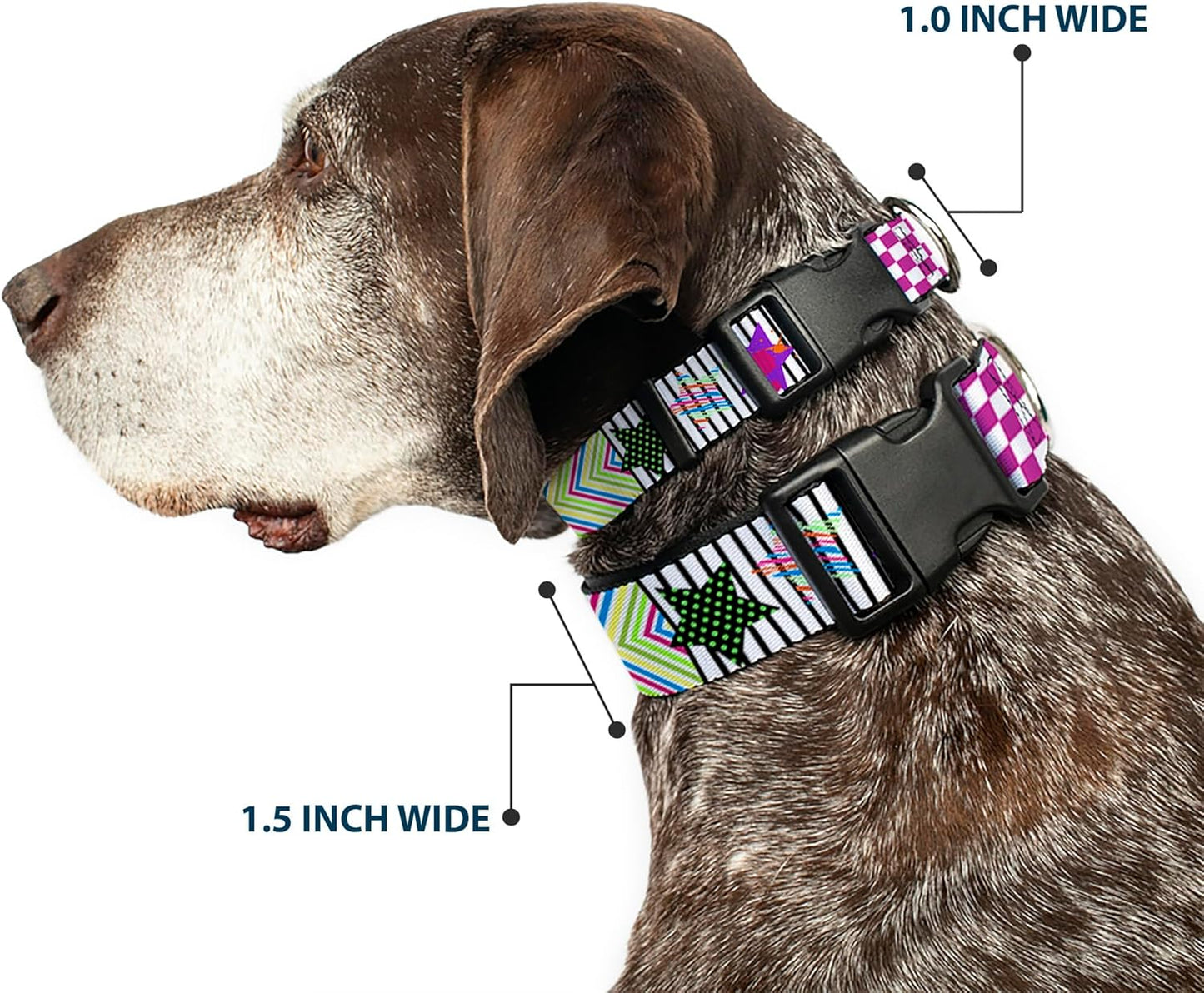 Buckle-Down PC-W21909-M Dog Collar Plastic Clip Buckle, 1"x11"-17", Star Black/White