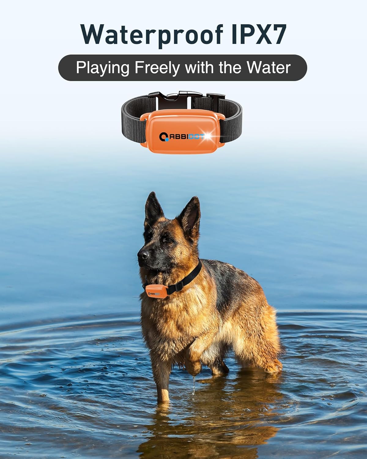 ABBIDOT 3300 Ft Dog Training Collar with Remote - [New Version] Shock Collar, 5 Training Modes, 88 Levels e Collar, Waterproof Training Collar for Small Medium Large Dogs(15~120 lbs)