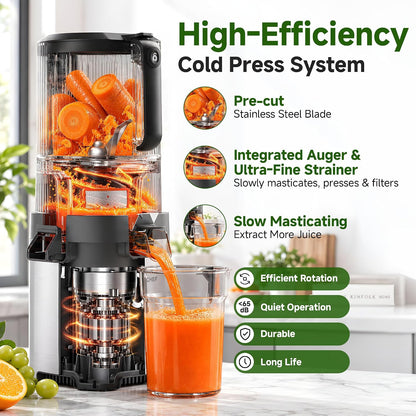 3-in-1 Cold Press Juicer | 600W Motor, Wide Feed Chute and Juice, Nut Milk & Sorbet Maker