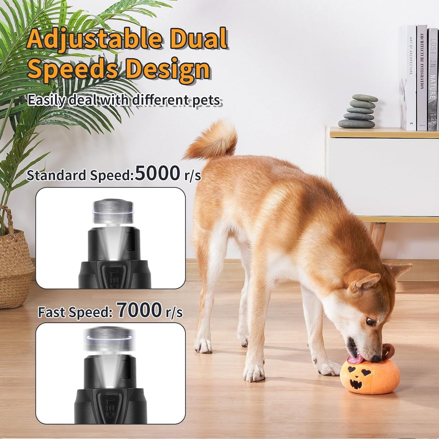 Dog Nail Grinder with LED Light, Rechargeable Pet Nail Grinder Kit with Nail Grinder and Trimmer, Low-Noise, 2-Speed Powerful Pet Nail Trimmer for Large Medium Small Animal Nail Care (Blue)