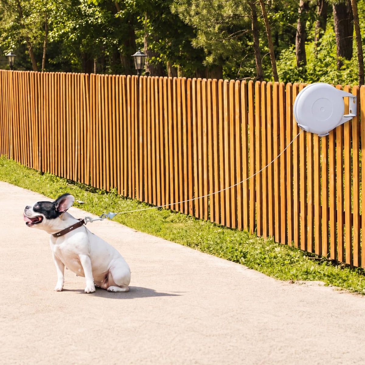Retractable Dog Tie Out Reel Wall Mounted, White, 49ft