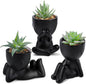 Der Rose 3Pcs Fake Plants Cute Succulents Artificial Plants for Home Decor Bathroom Office Desk Bookshelf Bedroom Living Room Accessories Decor Indoor Aesthetic