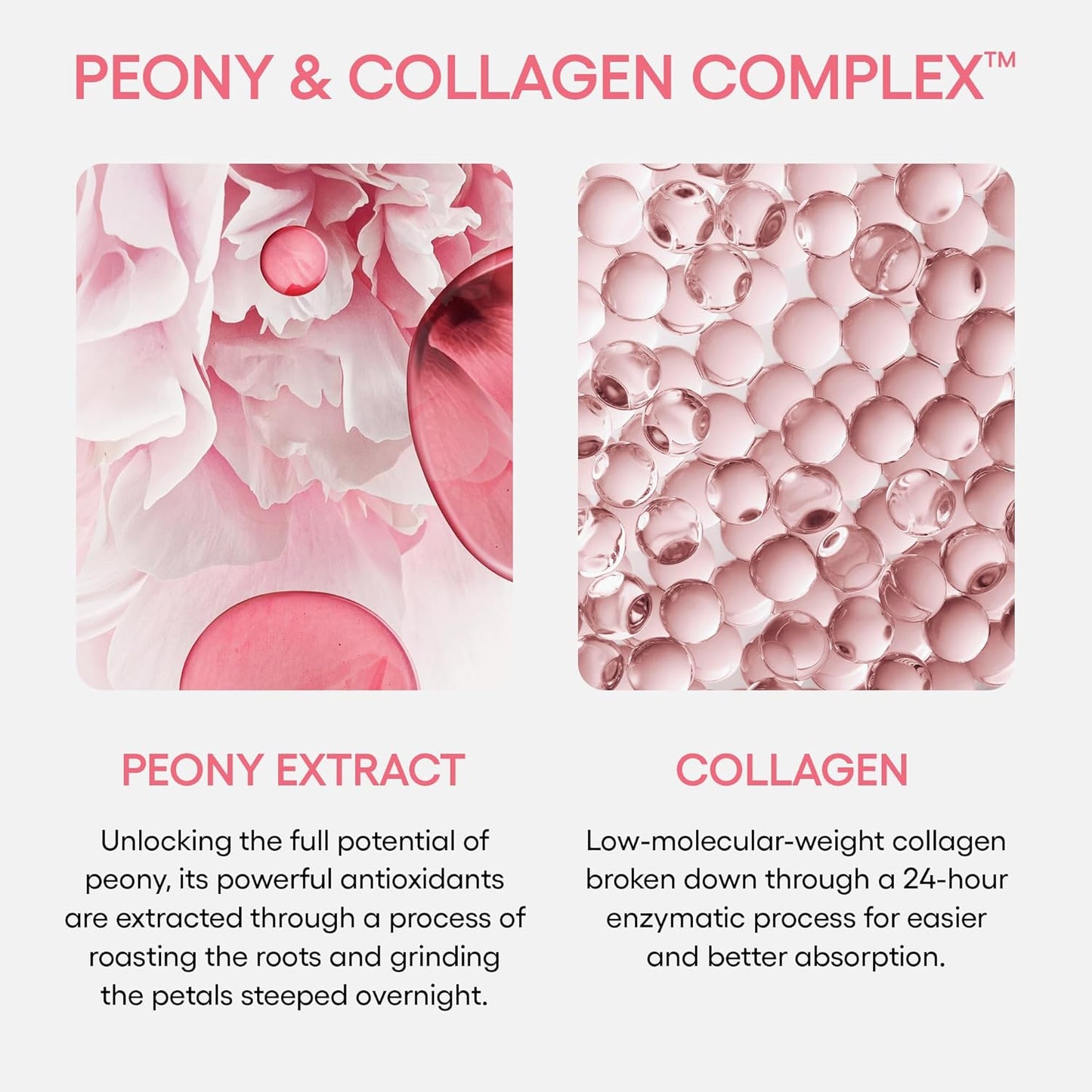 LANEIGE Bouncy and Firm Sleeping Mask: Revitalize, Smooth, Peony & Collagen Complex, Barrier-Boosting Hydration