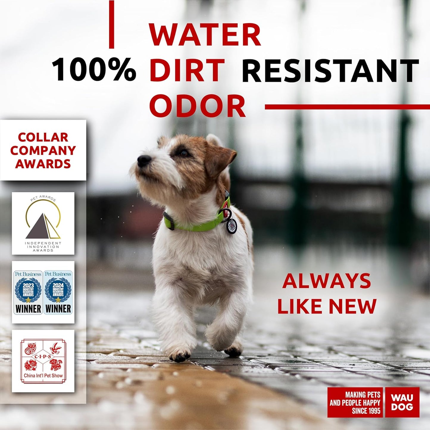 Waterproof Dog Collar - Adjustable Glow Dog Collar for Large Dogs, Small and Medium Dogs - Heavy Duty Dog Collars with Durable Metal Clasp and QR Dog Tag - Glow in The Dark Dog Collars