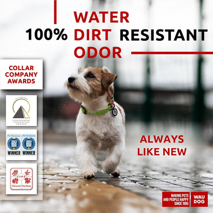 Waterproof Dog Collar - Adjustable Glow Dog Collar for Large Dogs, Small and Medium Dogs - Heavy Duty Dog Collars with Durable Metal Clasp and QR Dog Tag - Glow in The Dark Dog Collars