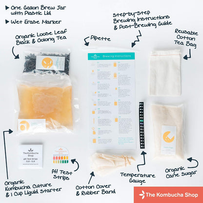 The Kombucha Shop Kombucha Brewing Kit 1 Gallon Glass Brew Jar, Kombucha SCOBY and Starter Pouch, Temperature Gauge