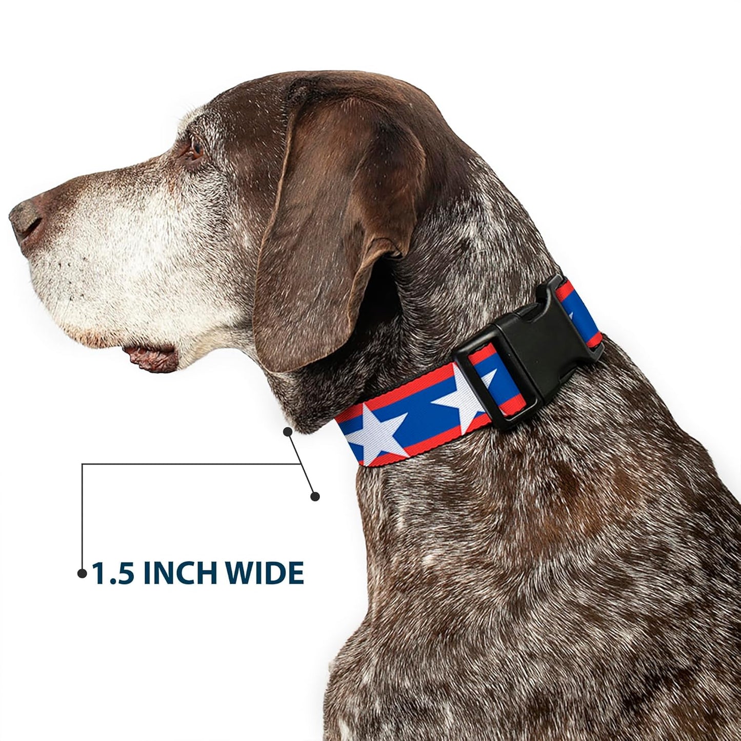 Buckle-Down PC-W21909-M Dog Collar Plastic Clip Buckle, 1"x11"-17", Star Black/White
