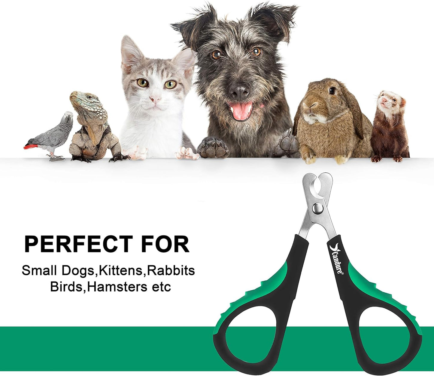 Candure Dog Nail Clippers and Trimmer with Safety Guard to Avoid Over-Cutting Toe Nails- Professional Grooming Razor Edge Blades Pet Nail Clipper with Free Nail File for Small Medium Large Breeds