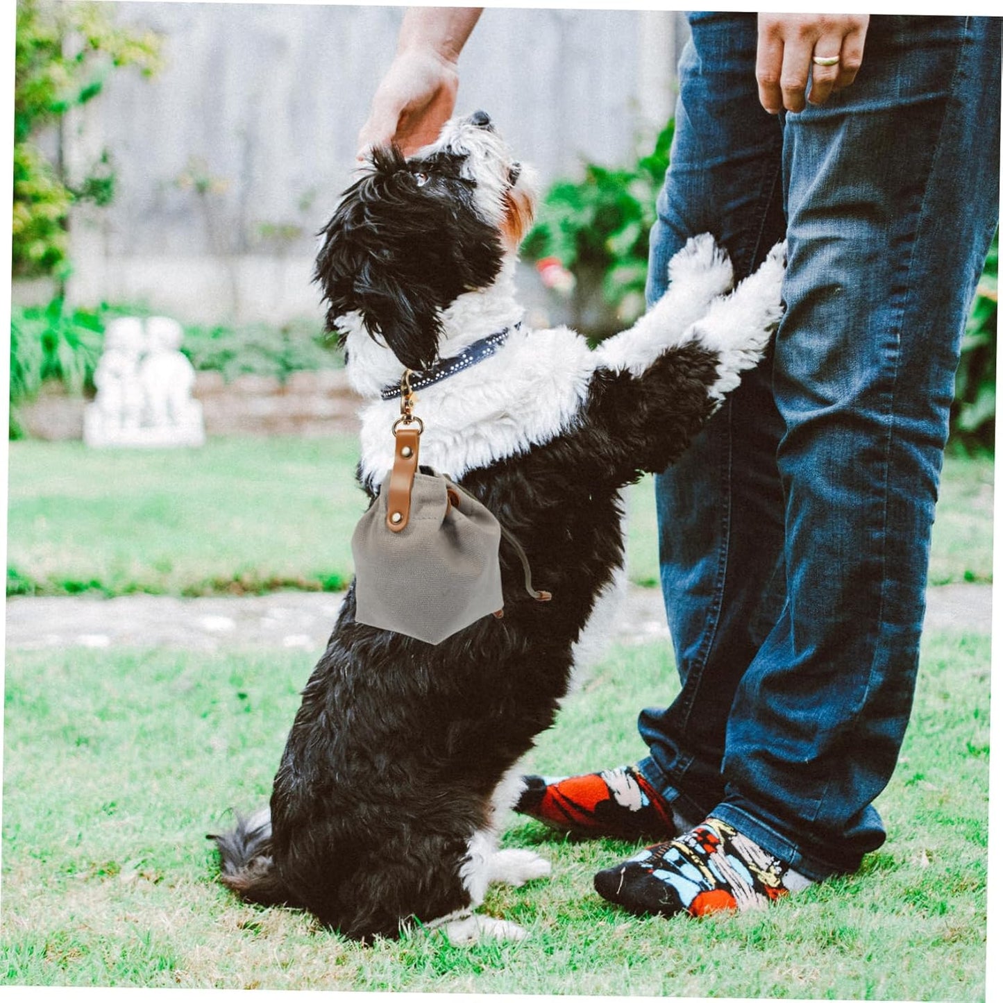 MINAOLULUS Dog Training Treat Pouch Portable Canvas Snack Holder for Outdoor Adventures for Treats Keys and