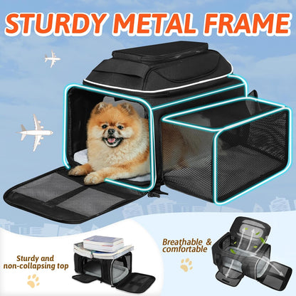 Petskd Top and Side Expandable Pet Carrier 17x12x8.5 Inches JetBlue Frontier Spirit Airline Approved, Soft-Sided Carrier for Small Cats and Dogs with Locking Safety Zipper and Anti-Scratch Mesh(Black)