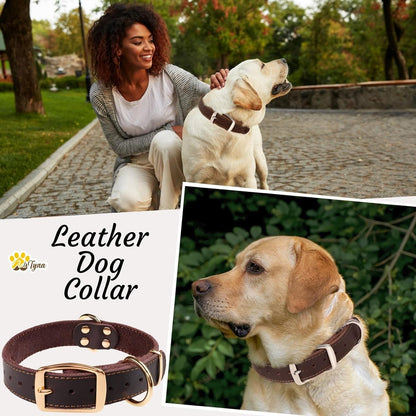 ADITYNA Heavy-Duty Leather Dog Collar for Medium Dogs - Soft and Strong, 100% Genuine Leather - Collier Pour Chien (Medium: Fit 13" - 20" Neck, Brown)