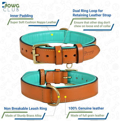 DowgClub | Genuine Leather Dog Collar | Full Grain, Heavy Duty | Comfortable, Strong | Best for Pups, Small, Medium & Large Breeds | Pink, Brown, Black, Tan