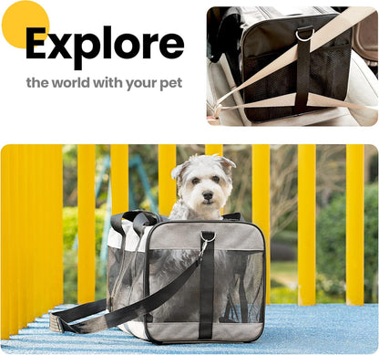 Conlun Cat Carrier Airline Approved, Soft-Sided Dog Carrier with Inner Safety Leash, Pet Transport Carrier for Small-Medium Cats Puppies up to 15 Lbs, Collapsible Travel Kitten Carrier Bag -Black M