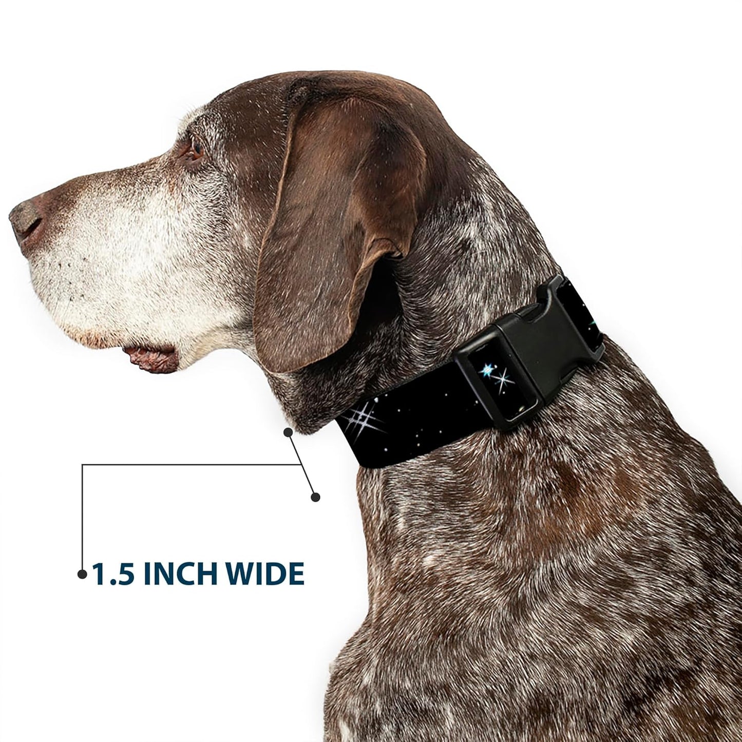Buckle-Down PC-W21909-M Dog Collar Plastic Clip Buckle, 1"x11"-17", Star Black/White