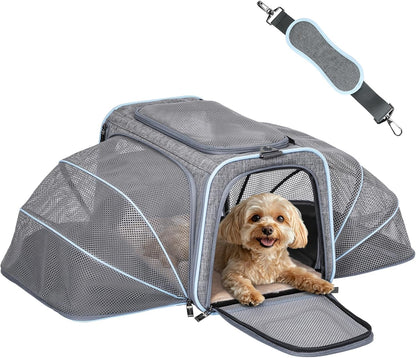 Petsfit Expandable Cat Dog Carrier Airline Approved, 17" L x 11" W x 11" H Soft-Sided Portable Pet Travel Carrier for Kitten, Puppy, Removable Soft Plush Mat and Pockets, Auto-Locking Zippers