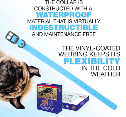Regal Dog Products Small Orange Waterproof Hunting Dog Collar with Heavy Duty Black Hardware Buckle & D Ring | Custom Fit Vinyl-Coated Webbing Water Resistant Collar for Small, Medium & Large Dogs