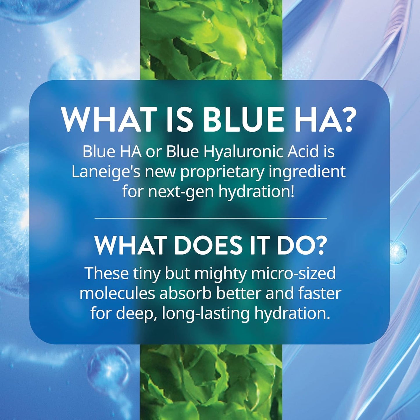 LANEIGE Water Bank Blue Hyaluronic Cream Moisturizer: Hydrating Korean Face Cream with Squalane & Ceramide for Skin Barrier Support, Dermatologist-Tested