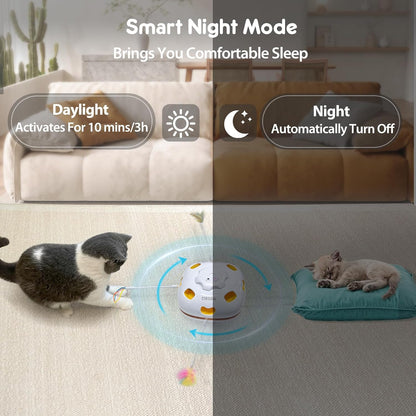 ORSDA Cat Toys Interactive, 4 in 1 Automatic Cat Toy, Hide and Seek, Whack a Mole, Magic Wand, Chasing Feather, with 4 Replacements, USB Rechargeable, for All Breed Sizes