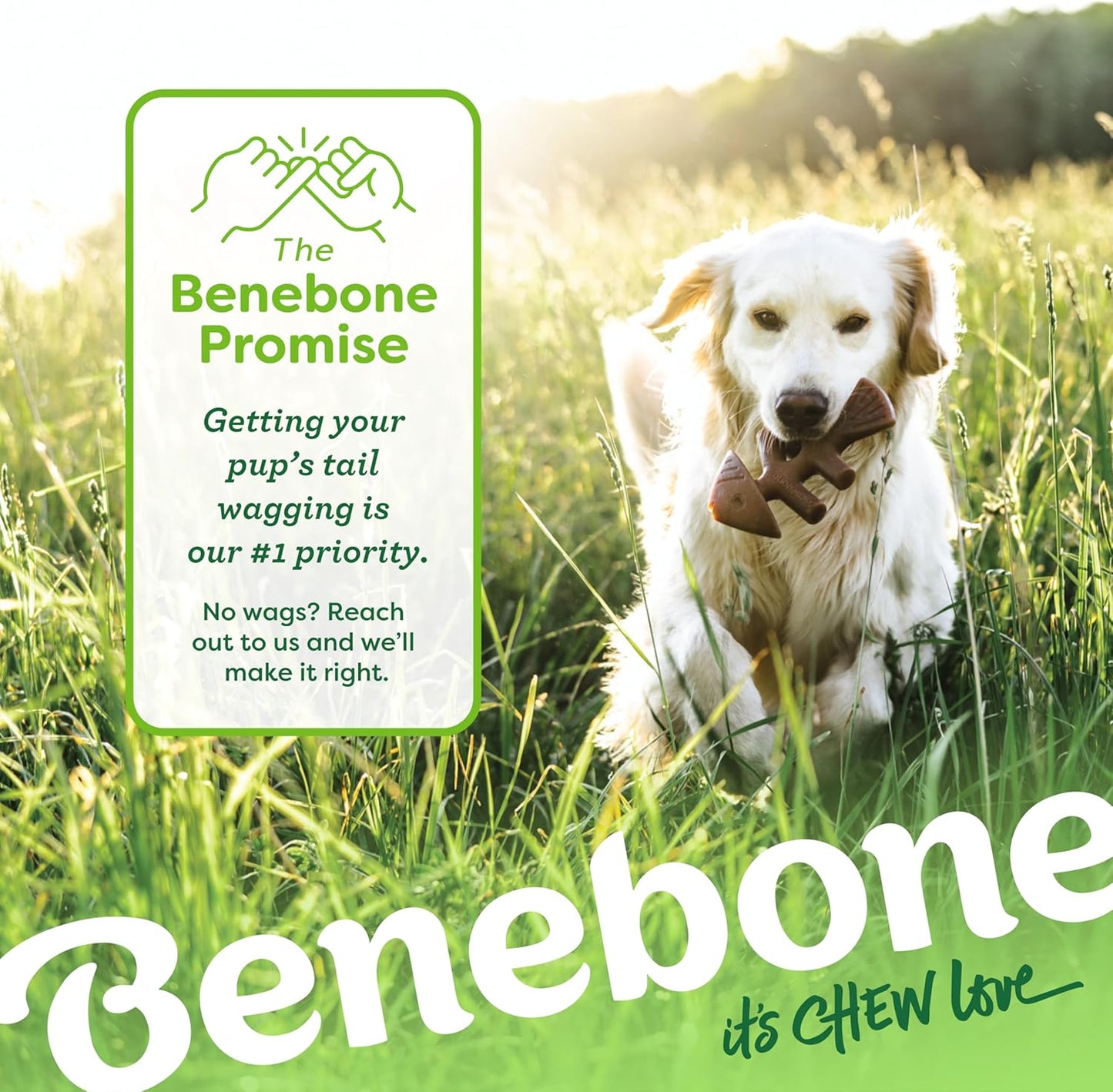 Benebone 4-Pack Durable Dog Chew Toys for Aggressive Chewers, Real Flavors, Made in USA, Medium