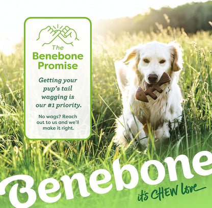 Benebone 4-Pack Durable Dog Chew Toys for Aggressive Chewers, Real Flavors, Made in USA, Medium