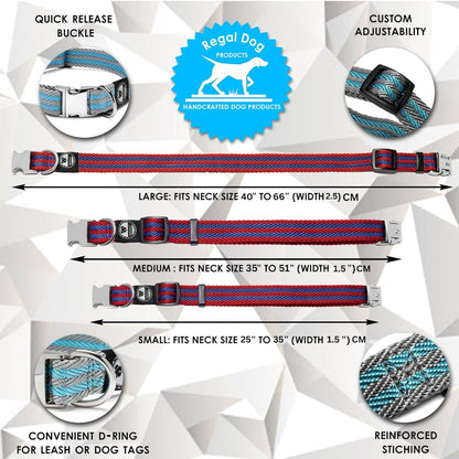 Regal Dog Products Pet Collar with Metal Buckle and D Ring | Durable Dog Collar with Reinforced Metal Clasp and Nylon Webbing Adjustable Dog Collar for Small Dog or Puppy (Small, Blue/Gray Stripe)