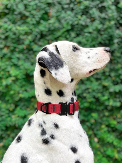 Tuff Pupper Waterproof Action Collar for Dogs | Heavy Duty Water Proof Dog Collar | Tear Proof & Odor Free | Rust-Proof Metal Hardware | Tactical Quick Release Buckle | for Adventurous, Active Dogs
