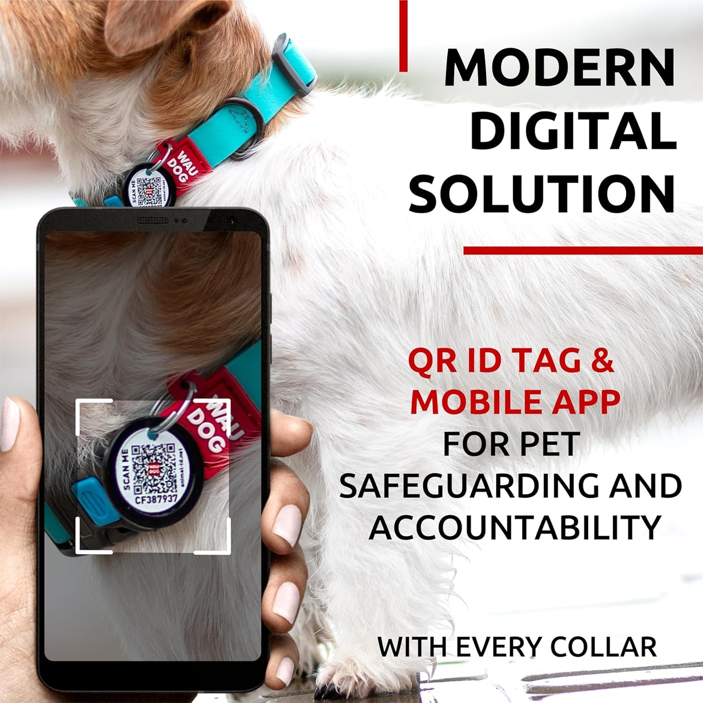 Waterproof Dog Collar - Adjustable Glow Dog Collar for Large Dogs, Small and Medium Dogs - Heavy Duty Dog Collars with Durable Metal Clasp and QR Dog Tag - Glow in The Dark Dog Collars