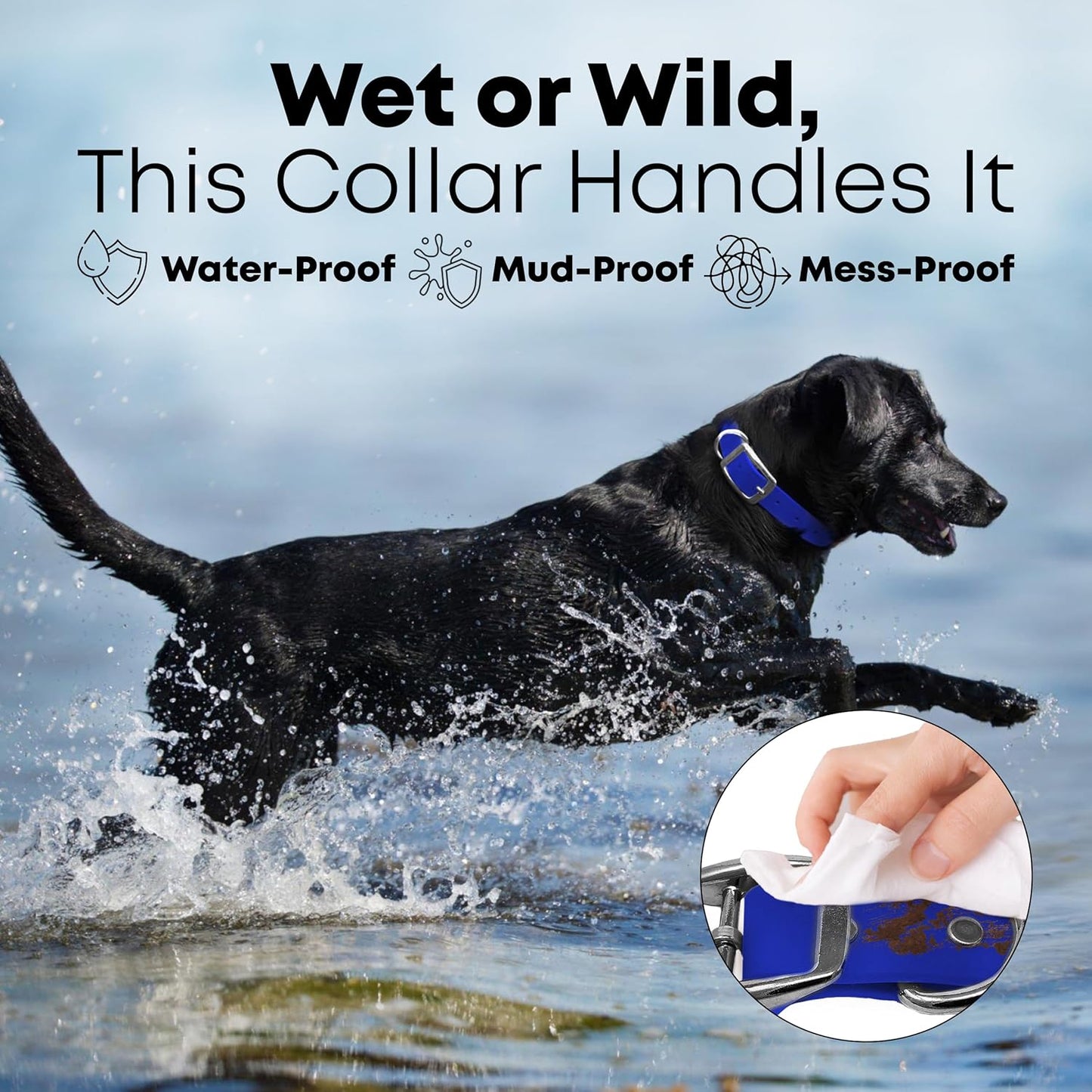 Regal Dog Products Medium Yellow Waterproof Dog Collar with Heavy Duty Double Buckle & D Ring | Vinyl Coated, Custom Fit, Adjustable Biothane Dog Collar | Chew Resistant Waterproof Collar for Dogs