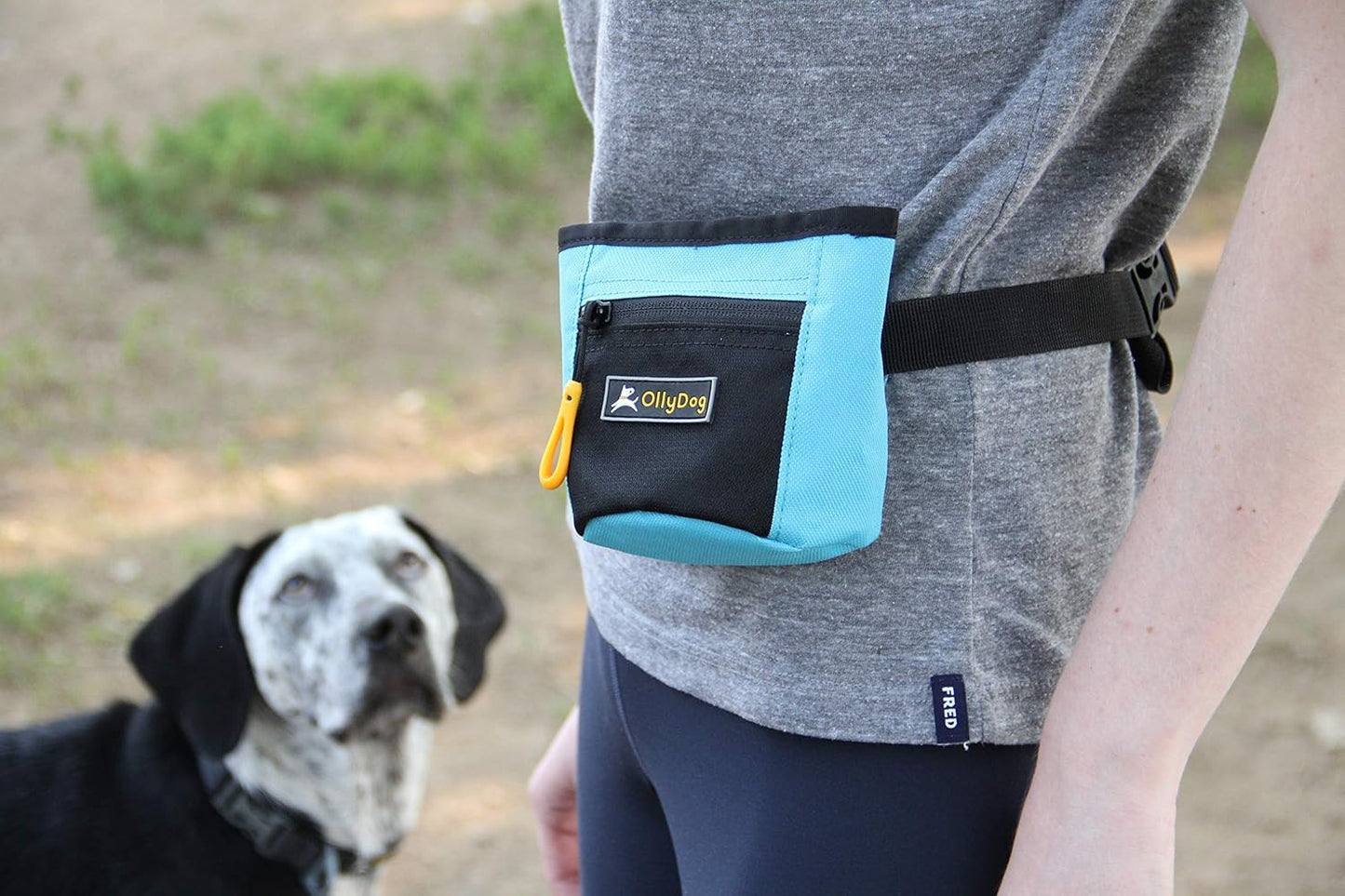 OllyDog Goodie Treat Bag, Dog Treat Pouch, Waist Belt Clip for Hands-Free Training, Magnetic Closure, Dog Training and Behavior Aids, Three Ways to Wear (Palm)