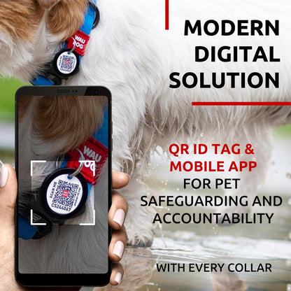 Waterproof Dog Collar - Adjustable Glow Dog Collar for Large Dogs, Small and Medium Dogs - Heavy Duty Dog Collars with Durable Metal Clasp and QR Dog Tag - Glow in The Dark Dog Collars