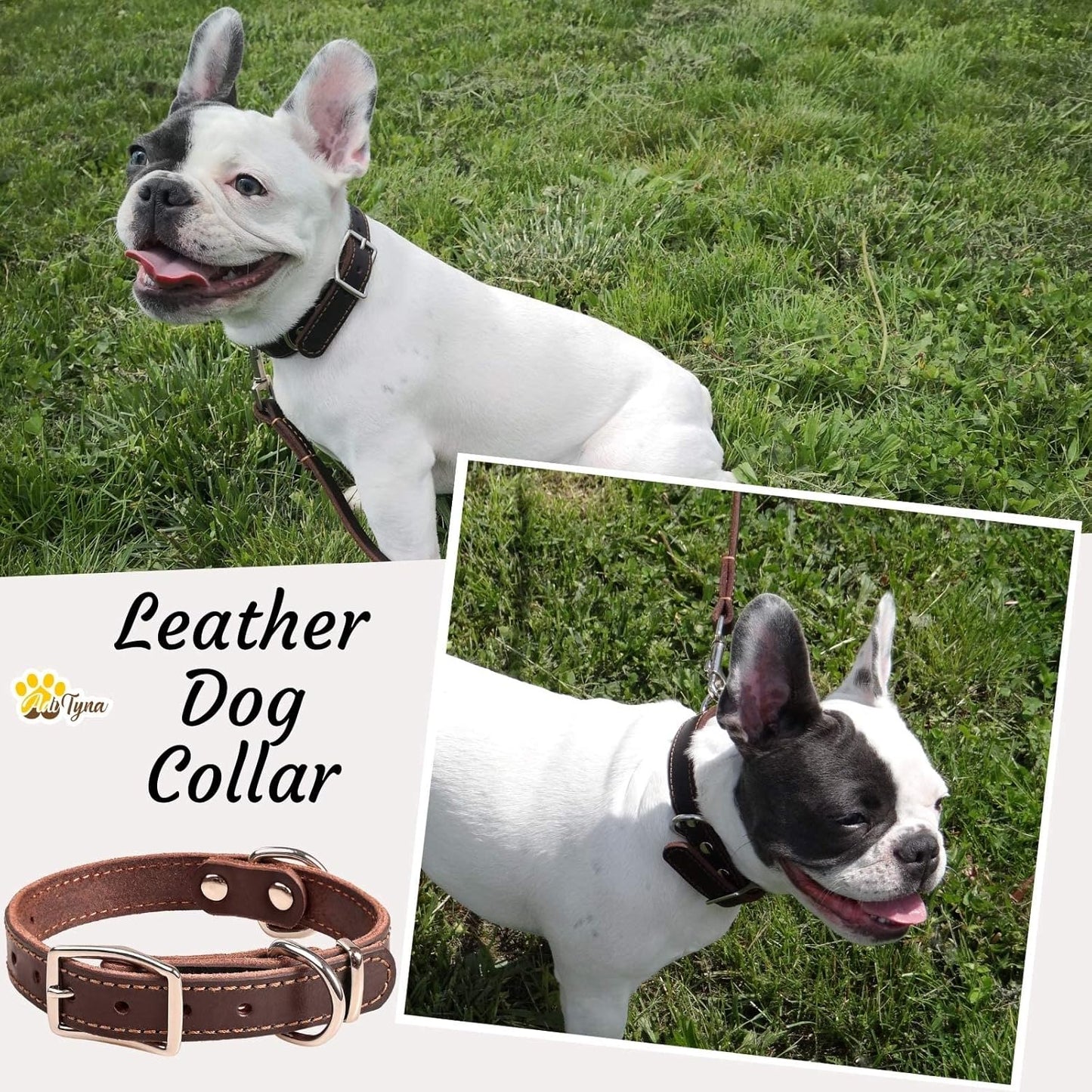 ADITYNA Heavy-Duty Leather Dog Collar for Medium Dogs - Soft and Strong, 100% Genuine Leather - Collier Pour Chien (Medium: Fit 13" - 20" Neck, Brown)
