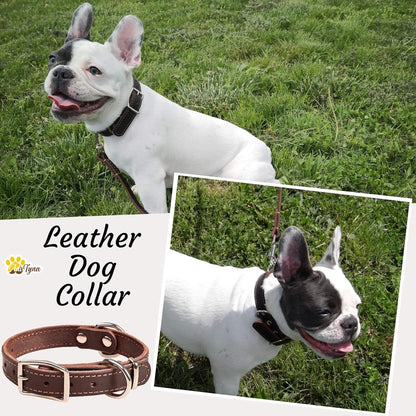 ADITYNA Heavy-Duty Leather Dog Collar for Medium Dogs - Soft and Strong, 100% Genuine Leather - Collier Pour Chien (Medium: Fit 13" - 20" Neck, Brown)