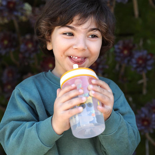 Zak Designs Silly Goose-Harvest Kelso 15oz Leak-Proof Toddler Cups, 2-Pack | BPA Free, Plastic, Sippy Cups, Cup Holder Friendly, Dishwasher Safe, Easy to Clean, For Preschool, Home, Daycare or Travel