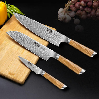 HOSHANHO Damascus Fillet Knife 7 Inch, Professional VG-10 Super Steel Boning Knife, Ultra Sharp Fish Knife with Ergonomic Handle