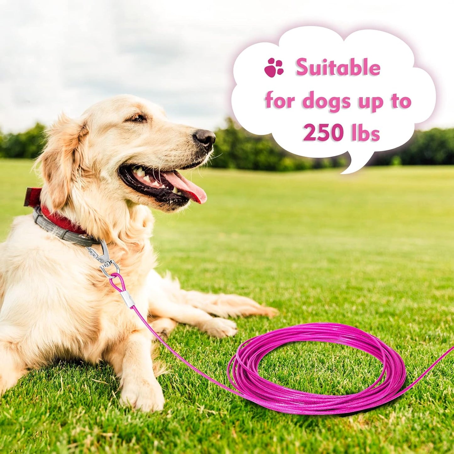 Dog Tie Out Cable Chew Proof, Long Dog Leash 30FT, Dog Runner for Yard Heavy Duty, Dog Chains for Outside, Sturdy Long Line Lead for Dogs Training Outdoor in Yard or Camping