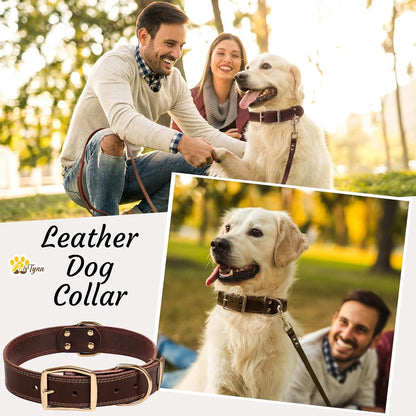 ADITYNA Heavy-Duty Leather Dog Collar for Medium Dogs - Soft and Strong, 100% Genuine Leather - Collier Pour Chien (Medium: Fit 13" - 20" Neck, Brown)