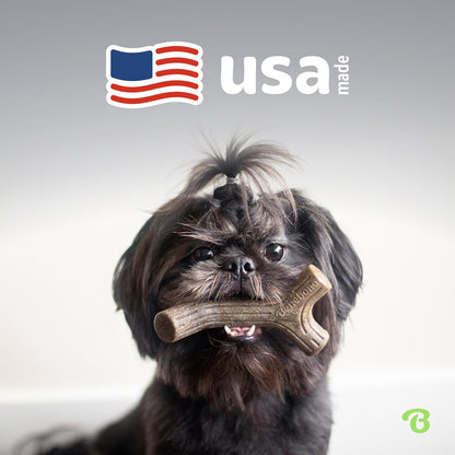 Benebone 4-Pack Durable Dog Chew Toys for Aggressive Chewers, Real Flavors, Made in USA, Medium