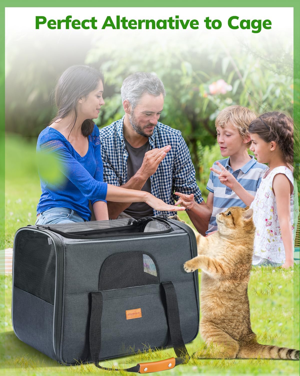Morpilot Cat Carrier Soft - Portable Pet Carrier for Small or Medium Cats, Dogs and Puppy up to 14lbs, Airline Approved Dog Carrier with Safety Buckle - (Dark Gray)