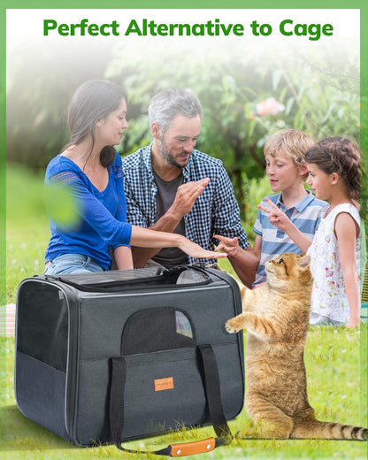 Morpilot Cat Carrier Soft - Portable Pet Carrier for Small or Medium Cats, Dogs and Puppy up to 14lbs, Airline Approved Dog Carrier with Safety Buckle - (Dark Gray)