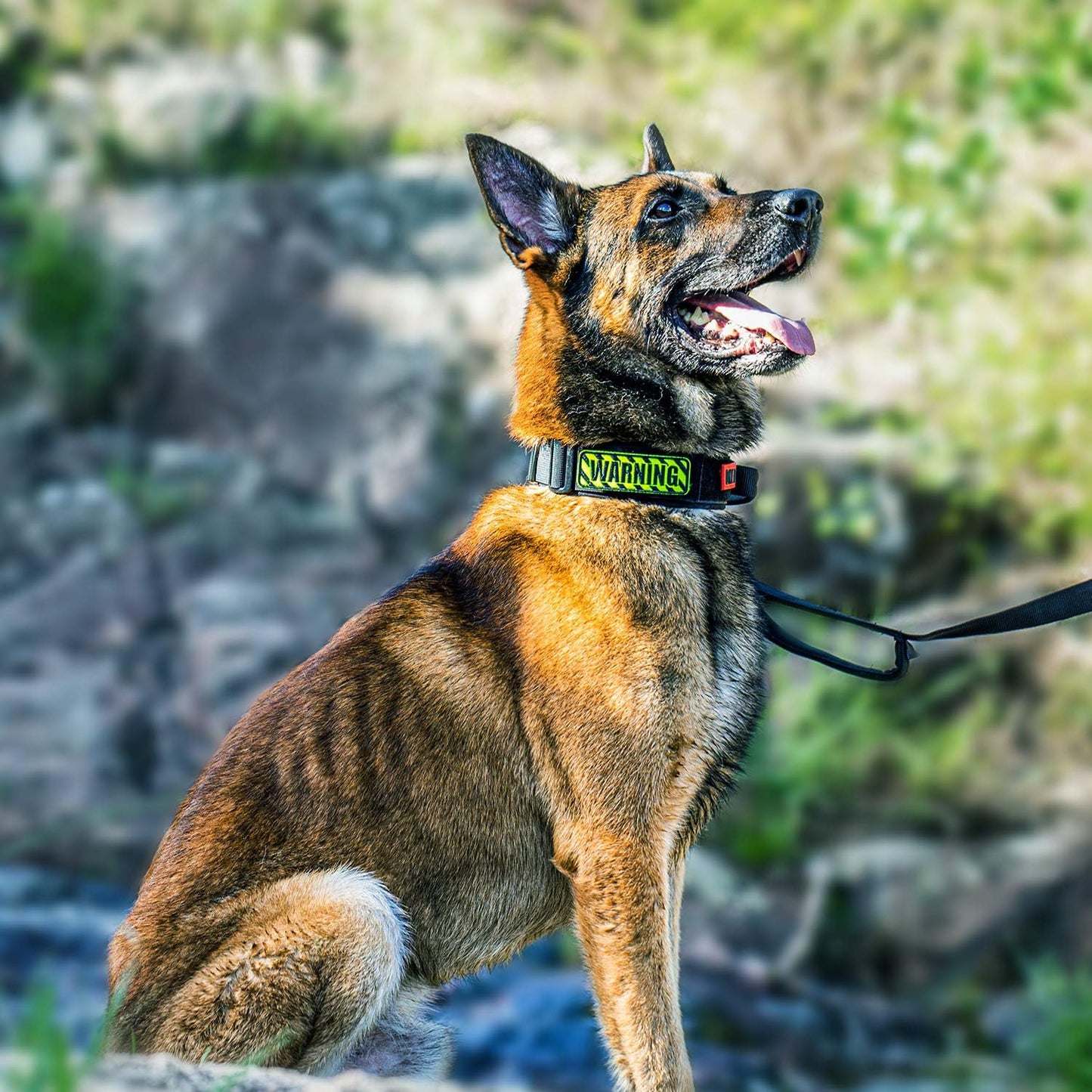 OneTigris Tactical Dog Collars with Handle,Military Dog Collar for Large Dog,Adjustable Nylon Collar German Shepherd Collar with Heavy Duty Metal Buckle for Dog Training and Walking (M, Orange)