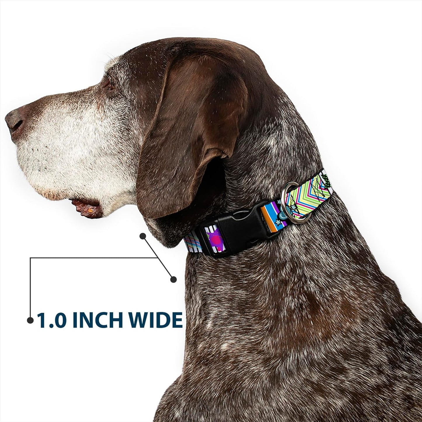 Buckle-Down PC-W21909-M Dog Collar Plastic Clip Buckle, 1"x11"-17", Star Black/White