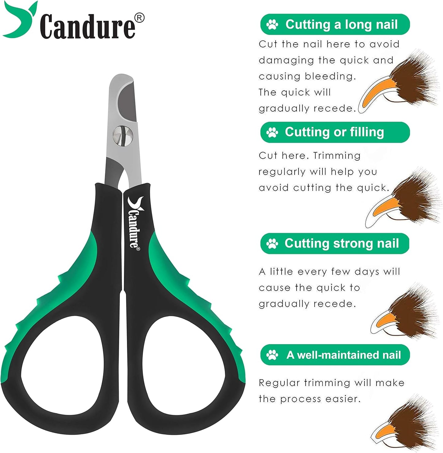 Candure Cat Nail Clippers Stainless Steel Cat Claw Trimmers for Rabbits,Guinea Pigs, Birds, Puppies, Kittens and Small Animals- Pet Nail Clippers for Professional and Home Use (Black)