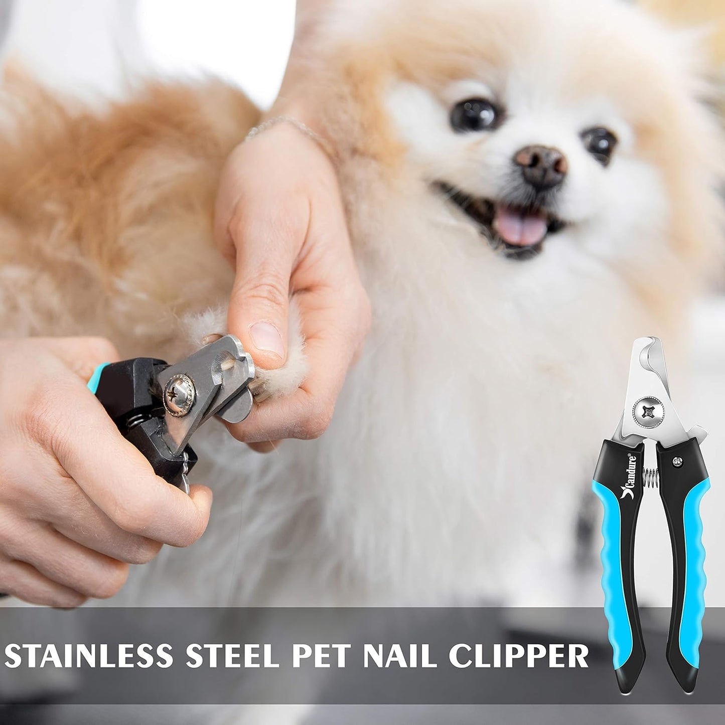 Candure Cat Nail Clippers Stainless Steel Cat Claw Trimmers for Rabbits,Guinea Pigs, Birds, Puppies, Kittens and Small Animals- Pet Nail Clippers for Professional and Home Use (Black)