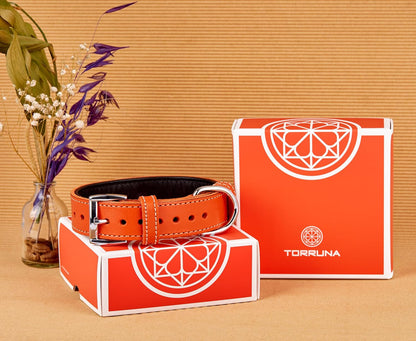 TORRUNA Soft Leather Dog Collar | Dog Collars for Small, Medium and Large Dogs | Durable Heavy Duty Dog Collars